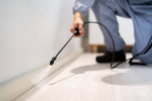 Licensed Termite Control service in Bozeman, MT - Nex Pest Control