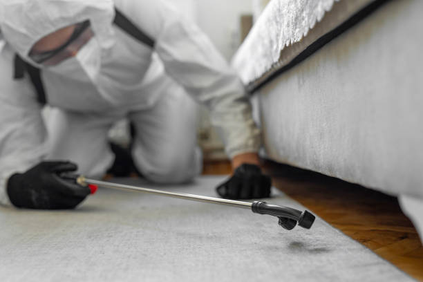 Professional Termite Control technician working in Bozeman, MT