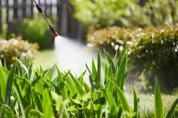 24/7 Emergency Termite Control experts in Bozeman, MT